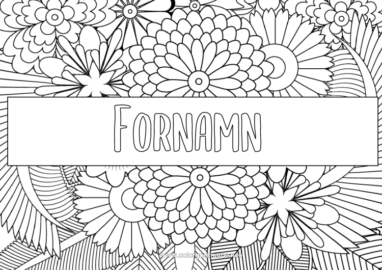 Färgläggningssida att skriva ut Blommor Marguerite Zentangle Etikett Dekorativ bakgrund Häftets omslag