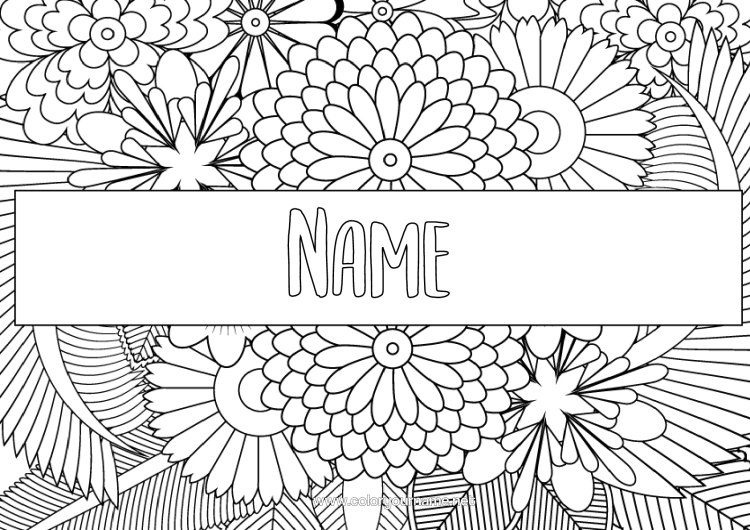 Colouring page to print Flowers Daisy Zentangle Label Decorative Background Notebook Cover