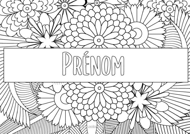 Coloriage à imprimer Fleurs Marguerite Zentangle étiquette Fond décoratif Couverture de cahier