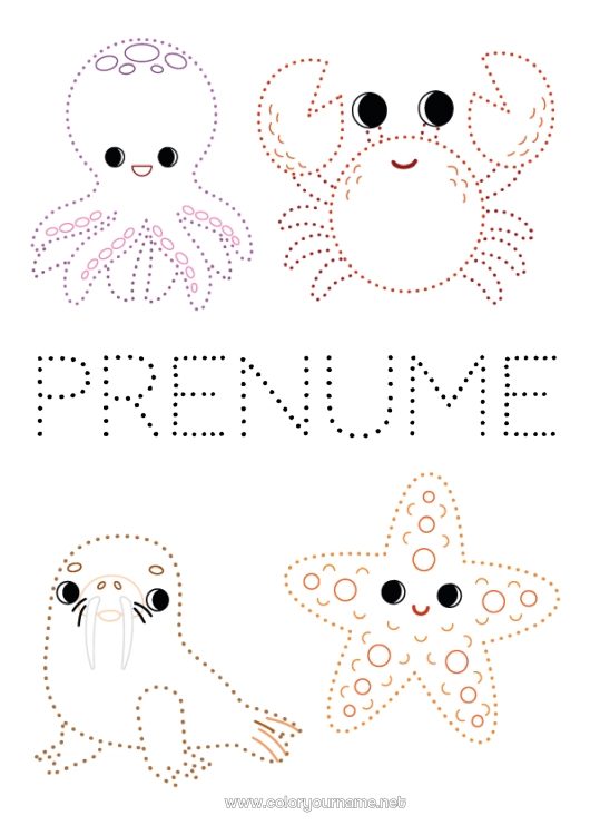 Pagină de colorat de imprimat Activități pentru copii Animal Puncte de conectat Focă Crab Desene de colorat ușoare Stea de mare Animale marine sau acvatice Caracatiță, polip