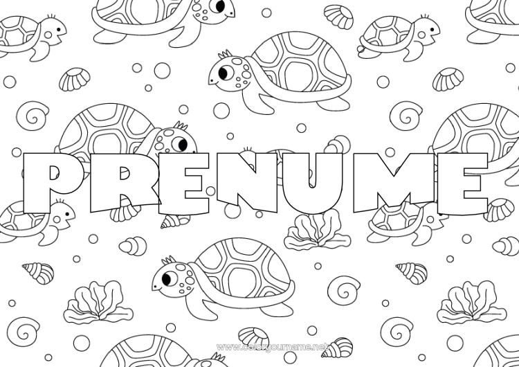 Pagină de colorat de imprimat Broască țestoasă Nume decorat Desene de colorat complexe Animale marine sau acvatice Reptile Fundal decorativ Broască țestoasă marină