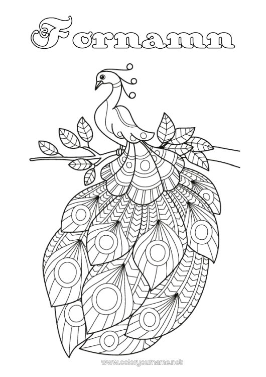Färgläggningssida att skriva ut Påfågel Zentangle Fåglar och flygande däggdjur