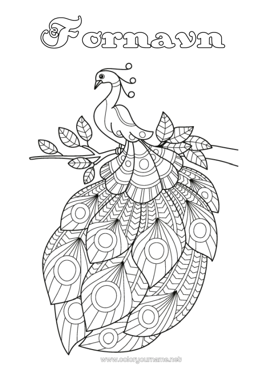 Fargeleggingssiden til utskrift Påfugl Zentangle Fugler og flygende pattedyr