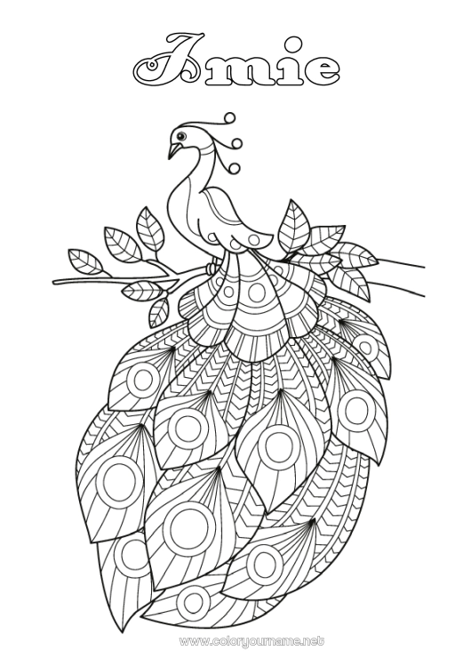 Kolorowanka do wydruku Paw Zentangle Ptaki i latające ssaki
