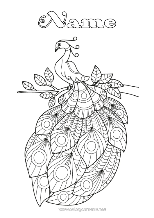 Colouring page to print Animal Peacock Zentangle Birds And Flying Mammals