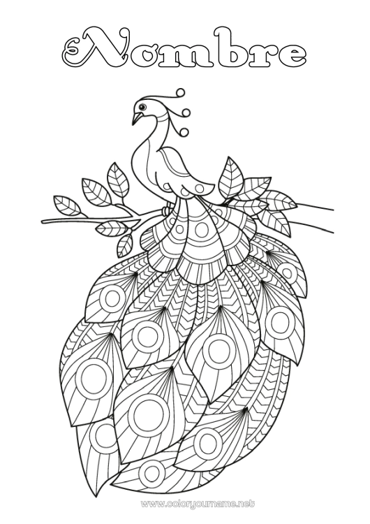 Dibujo para colorear para imprimir Pavo real Zentangle Aves y mamíferos voladores