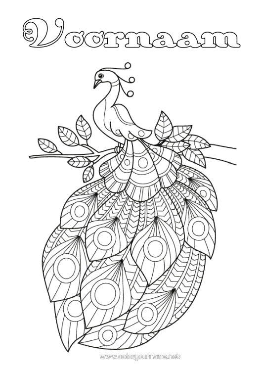 Kleurplaat om af te drukken Pauw Zentangle Vogels en vliegende zoogdieren