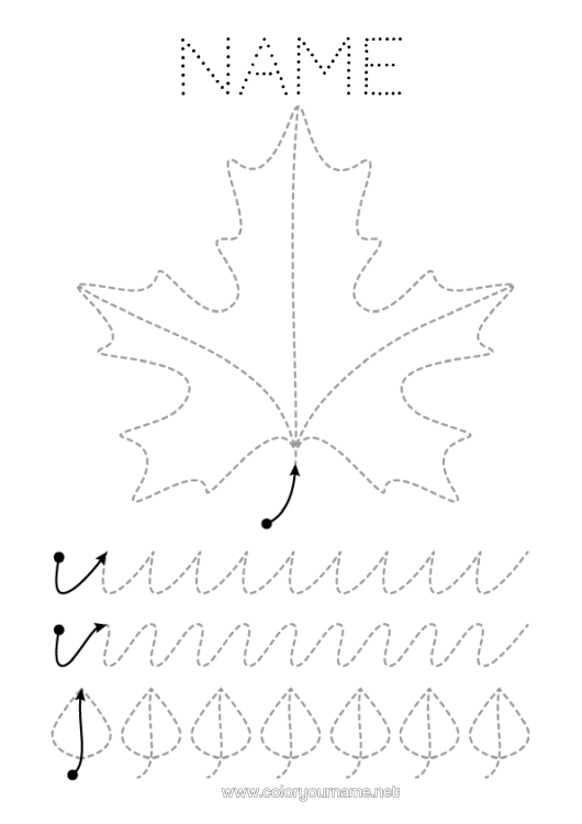 Colouring page to print Autumn Leaves Connecting Points Trace And Colour. Maple Nursery Graphic Sheet Dead Leaves