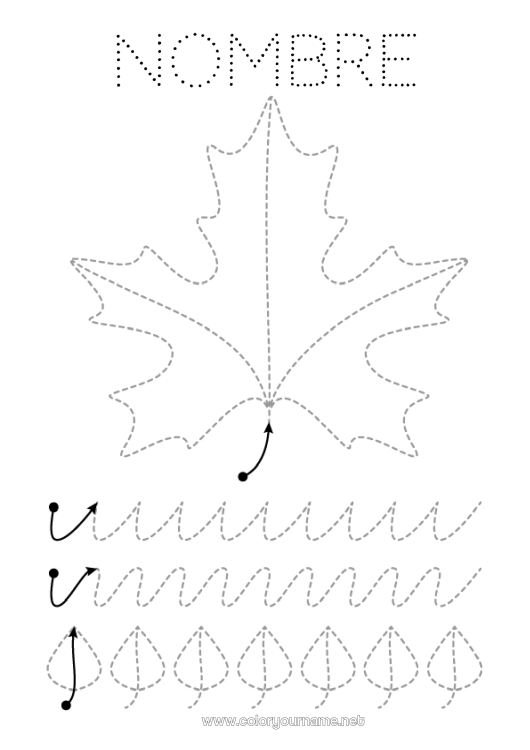Dibujo para colorear para imprimir Otoño Hojas Une los puntos Trazo y color Arce Ficha de grafismo para educación infantil Hojas muertas