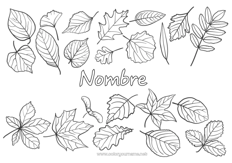Dibujo para colorear para imprimir Otoño Hojas Árbol Roble Arce Hojas muertas