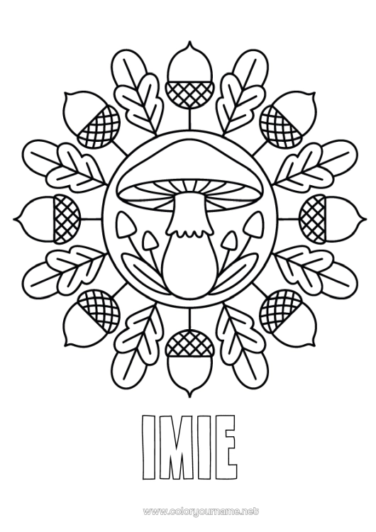 Kolorowanka do wydruku Mandala Jesień Grzyb Łatwe kolorowanki Żołądź