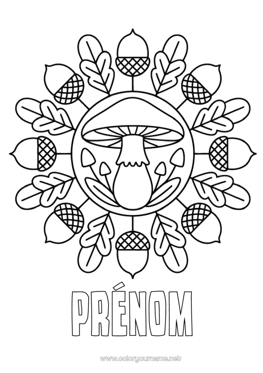 Coloriage à imprimer Mandala Automne Champignon Coloriages faciles Gland
