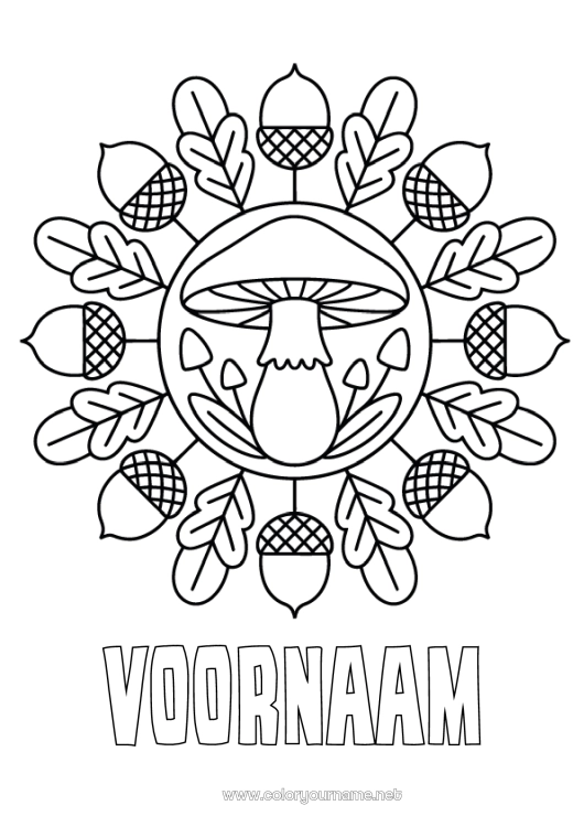 Kleurplaat om af te drukken Mandala Herfst Paddestoel Eenvoudige kleurplaten Eikel
