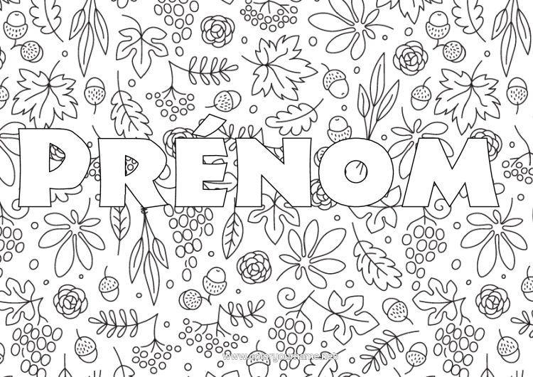 Coloriage à imprimer Automne Feuilles Fruits Raisin Gland Fond décoratif Feuilles mortes
