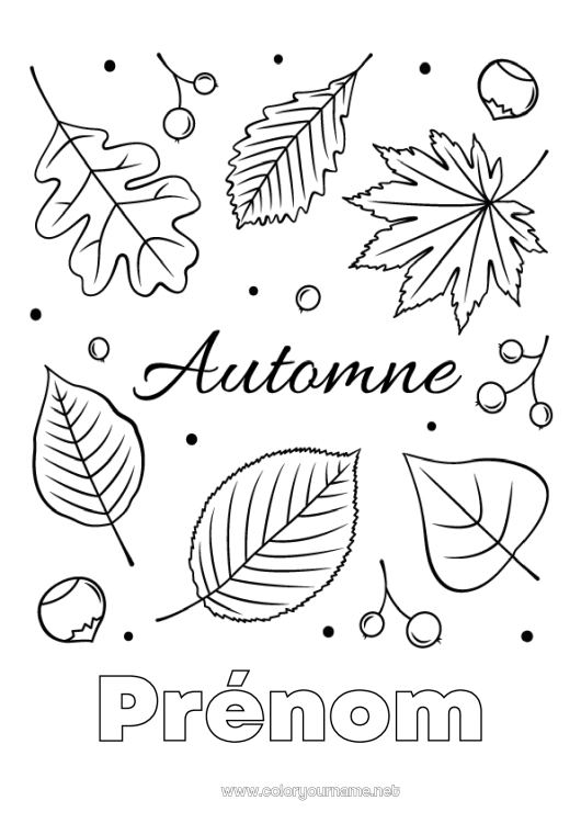 Coloriage à imprimer Automne Feuilles Feuilles mortes