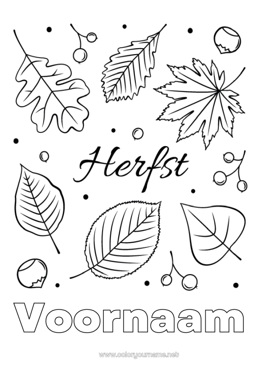 Kleurplaat om af te drukken Herfst Bladeren Dode bladeren