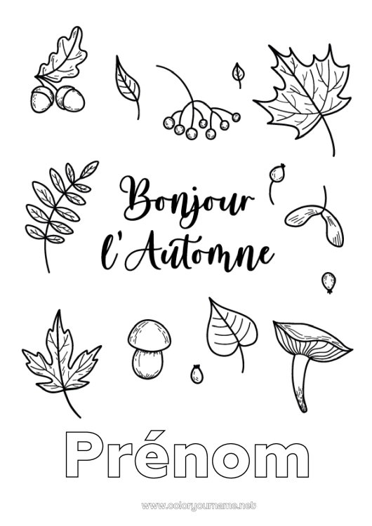 Coloriage à imprimer Automne Feuilles Feuilles mortes
