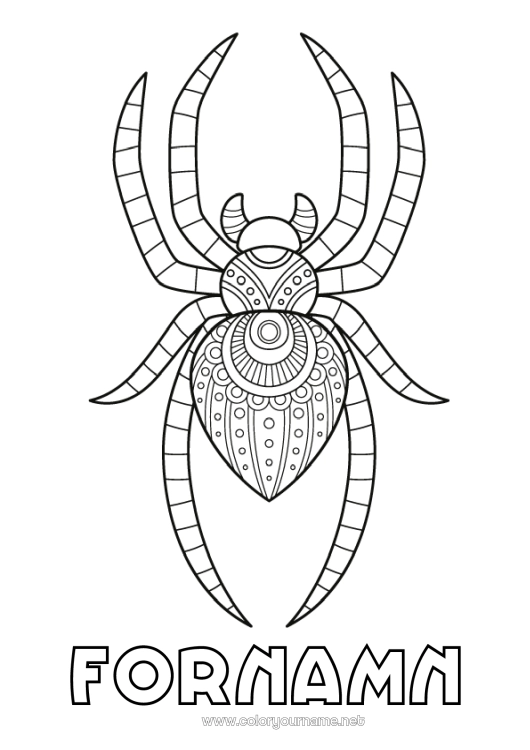 Färgläggningssida att skriva ut Spindel Djur Zentangle Insekter