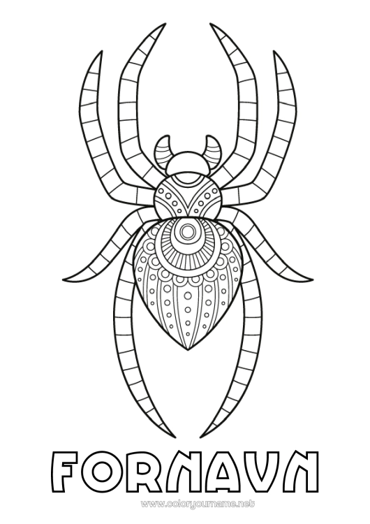 Fargeleggingssiden til utskrift Edderkopp Dyr Zentangle Insekter