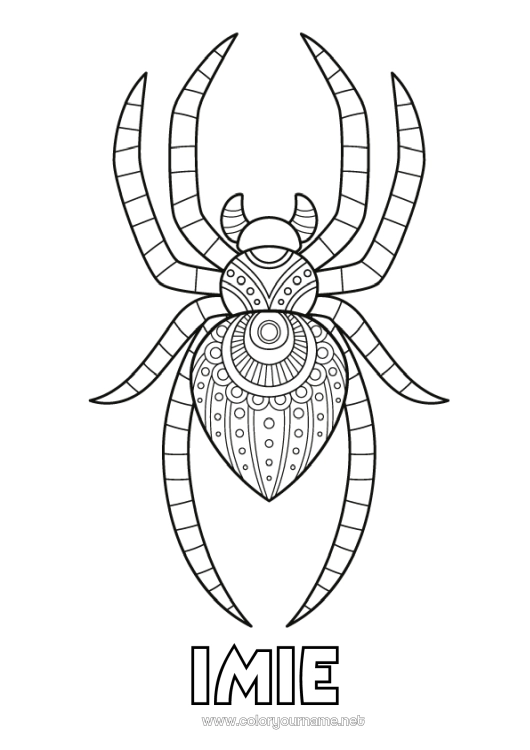 Kolorowanka do wydruku Pająk Zwierzę Zentangle Owady