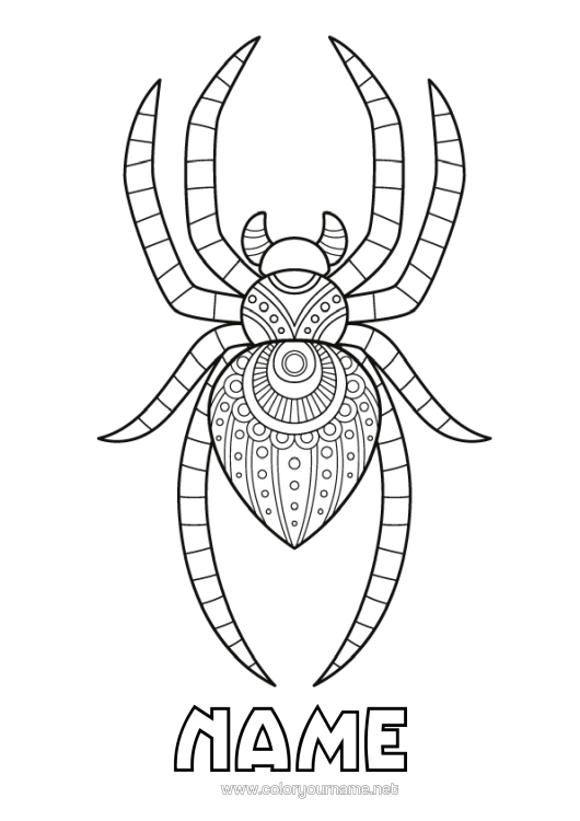 Colouring page to print Spider Animal Zentangle Insects