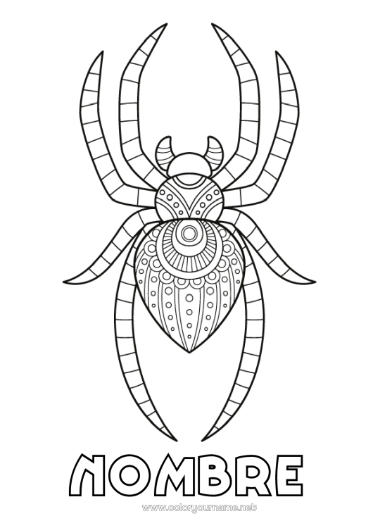 Dibujo para colorear para imprimir Araña Animales Zentangle Insectos