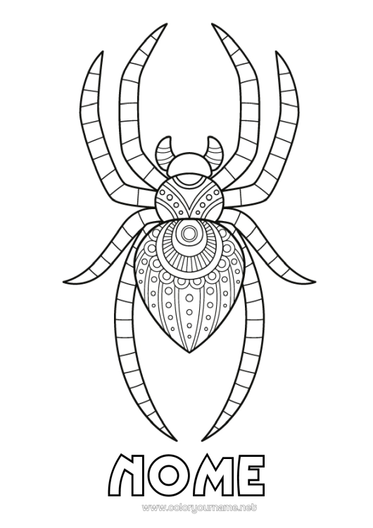 Página de desenho para imprimir Aranha Animal Zentangle Insetos
