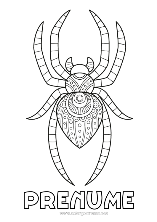 Pagină de colorat de imprimat Păianjen Animal Zentangle Insecte