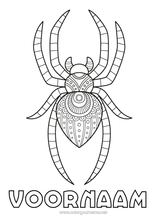 Kleurplaat om af te drukken Spin Dier Zentangle Insecten