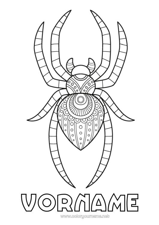 Malvorlage zum Ausdrucken Spinne Tier Zentangle Insekten