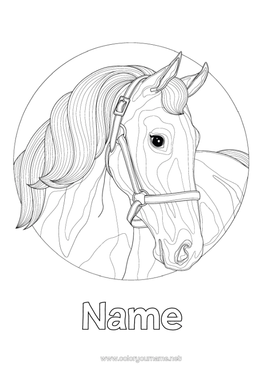 Coloring page to print Horse Animal Zentangle Farm animals