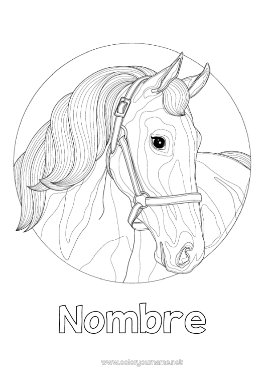 Dibujo para colorear para imprimir Caballo Animales Zentangle Animales de granja