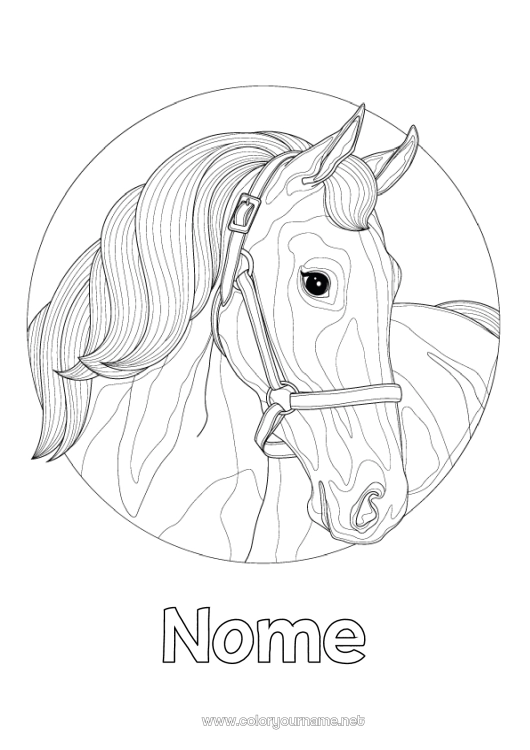 Página de desenho para imprimir Cavalo Animal Zentangle Animais de fazenda