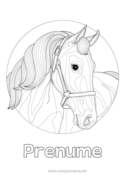 Pagină de colorat de imprimat Cal Animal Zentangle Animale de fermă