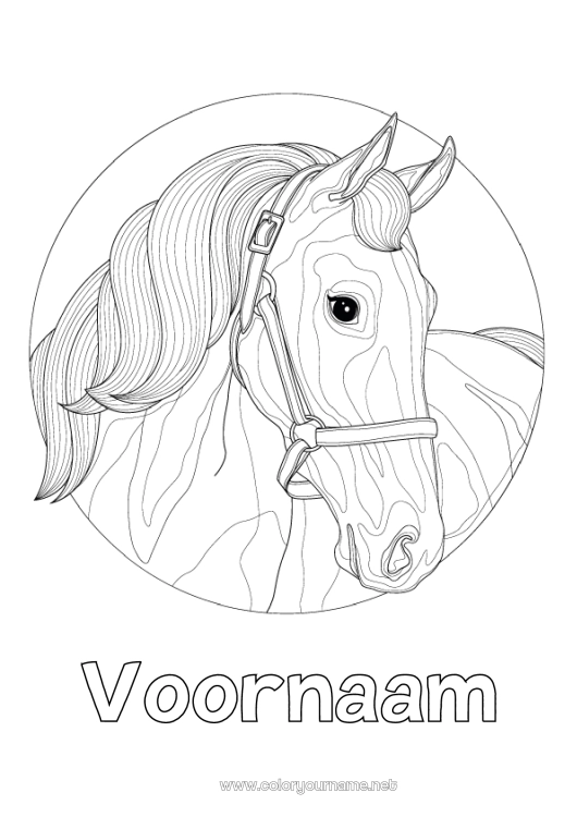 Kleurplaat om af te drukken Paard Dier Zentangle Boerderijdieren