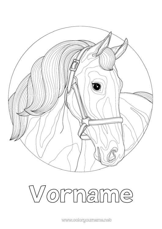 Malvorlage zum Ausdrucken Pferd Tier Zentangle Bauernhoftiere
