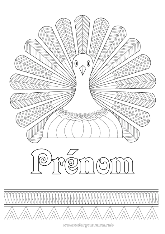 Coloriage à imprimer Thanksgiving Paon Zentangle Oiseaux et mammifères volants Dinde de Thanksgiving