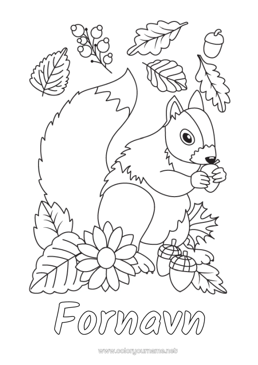 Farvelægningssiden til udskrivning Egern Efterår Skovens dyr Kogle Døde blade