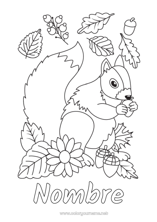 Dibujo para colorear para imprimir Ardilla Otoño Animales del bosque Bellota Hojas muertas