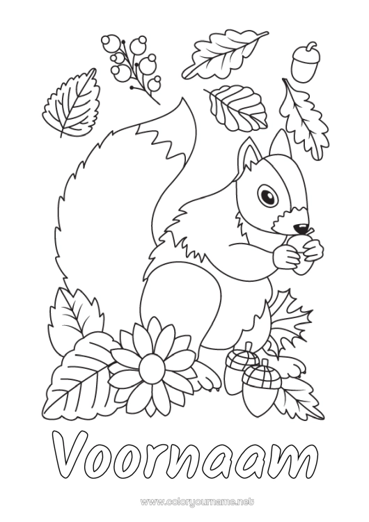 Kleurplaat om af te drukken Eekhoorn Herfst Bosdieren Eikel Dode bladeren