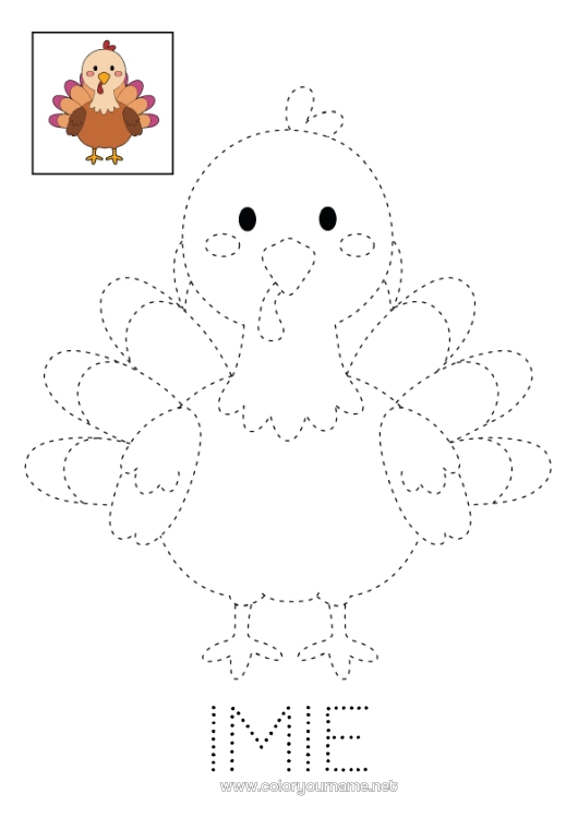 Kolorowanka do wydruku Święto Dziękczynienia Indyk Aktywności dla dzieci Łatwe kolorowanki Śledź i koloruj Zwierzęta gospodarskie Indyk na Święto Dziękczynienia