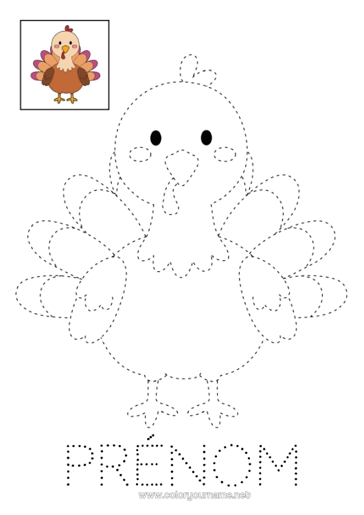 Coloriage à imprimer Thanksgiving Dindon Activités enfants Coloriages faciles Trace et colorie Animaux de la ferme Dinde de Thanksgiving