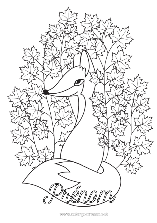Coloriage à imprimer Automne Renard Feuilles Animaux de la forêt Feuilles mortes