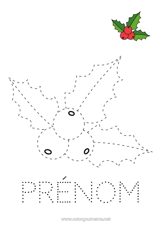 Coloriage à imprimer Activités enfants Houx Coloriages faciles Trace et colorie Coloriage avec modèle