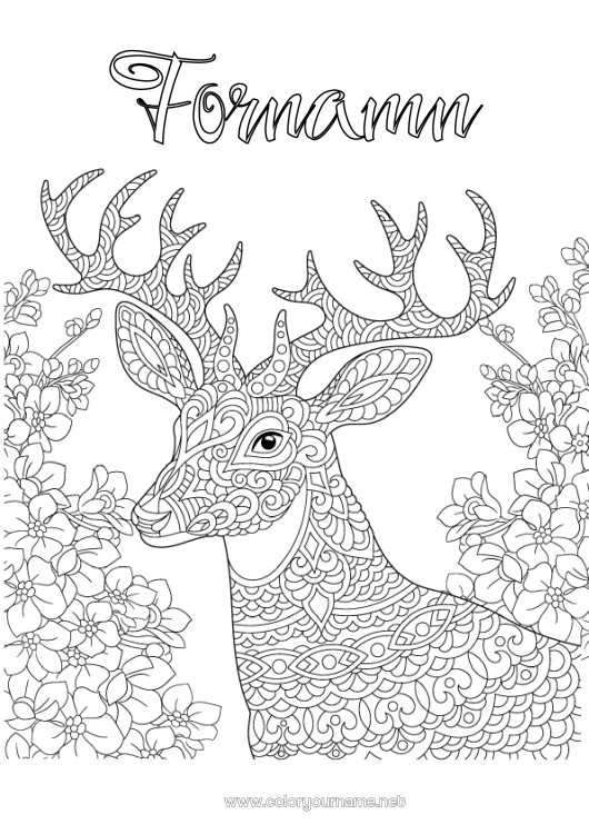 Färgläggningssida att skriva ut Ren Djur Komplexa målarbilder Zentangle Skogens djur Hjort