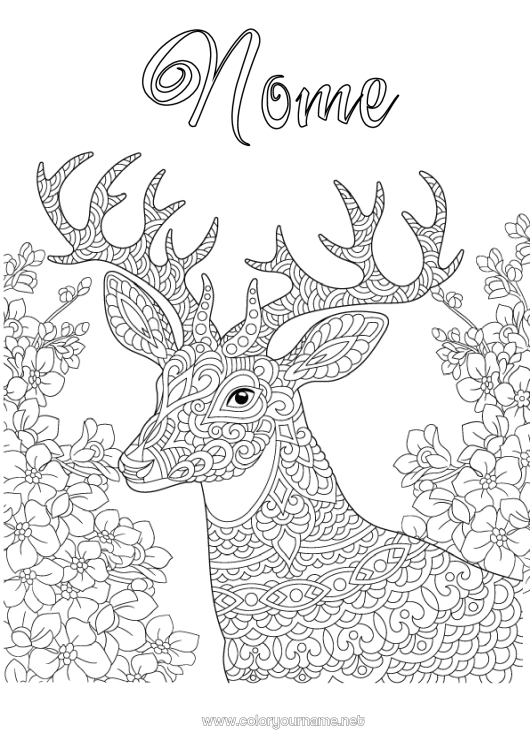 Pagina da colorare da stampare Renna Animale Colorazioni complesse Zentangle Animali della foresta Cervo