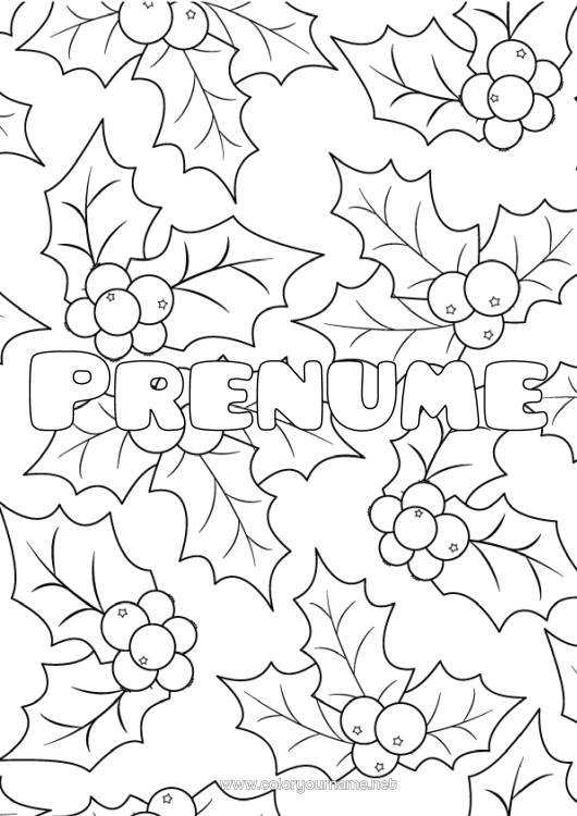 Pagină de colorat de imprimat Iarna Ilex
