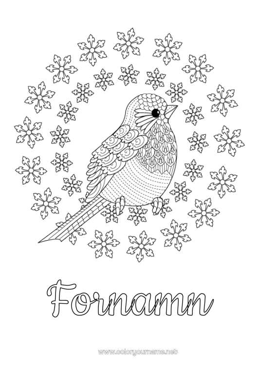 Färgläggningssida att skriva ut Snö Vinter Fågel Snöflingor Komplexa målarbilder Fåglar och flygande däggdjur Rödhake