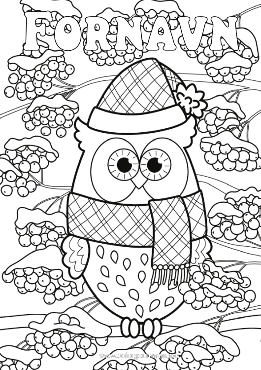 Farvelægningssiden til udskrivning Sne Vinter Ugle, Hornugle Dyr Fugle Og Flyvende Pattedyr Kogle Sjal Vinterhue