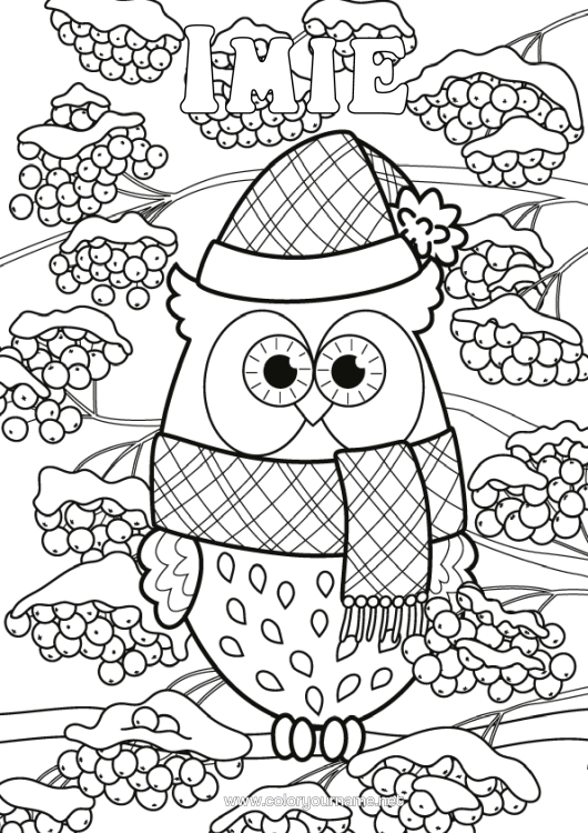 Kolorowanka do wydruku Śnieg Zima Sowa, Puszczyk Zwierzę Ptaki I Latające Ssaki Szyszka Szalik Czapka Zimowa